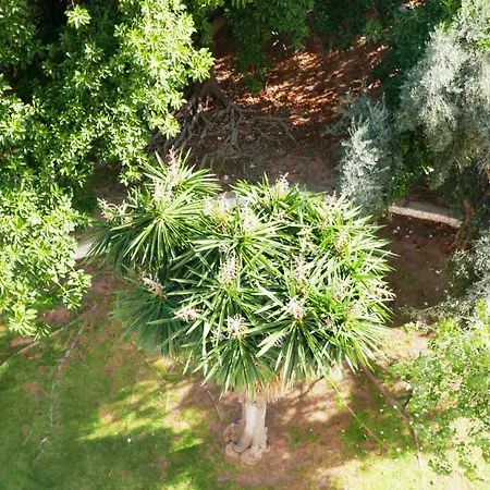 Malagadevacaciones - Thiele Appartement